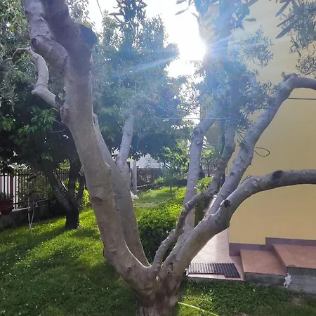 Διαμέρισμα Casa Serendipity